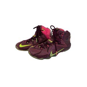 Nike Shoes Lebron 12 Double Helix
